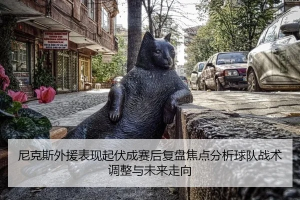 尼克斯外援表现起伏成赛后复盘焦点分析球队战术调整与未来走向